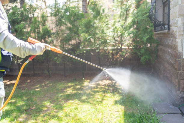 Flea Control Services in Salem, MA