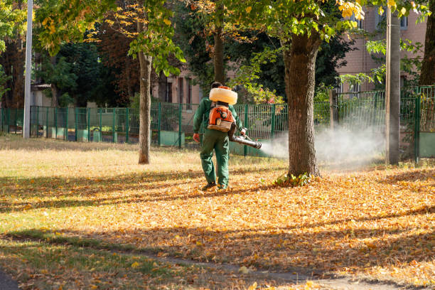 Wildlife Control Services in Salem, MA